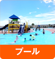 プール