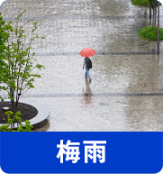 梅雨