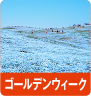 ゴールデンウィーク